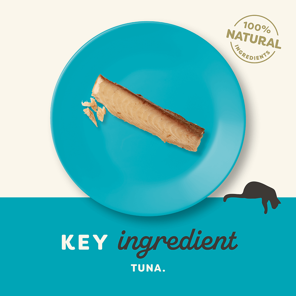 Cat Loin Tuna Treat 4 Cat Loin Tuna Treat