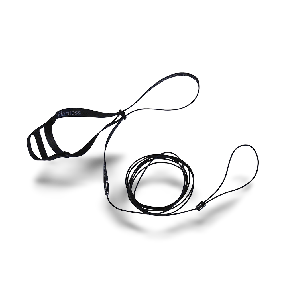 Harness And Leash Black