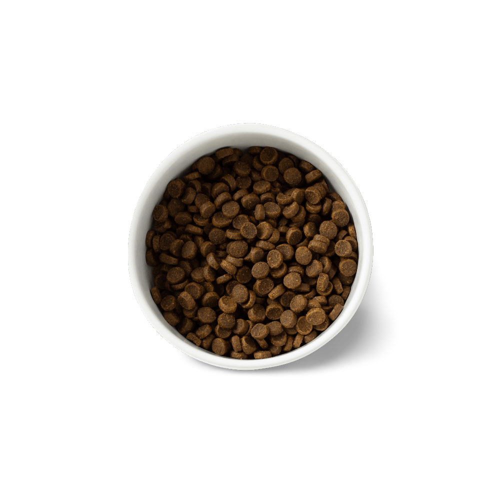 Grain Free Small Breed Adult Dog Food 4 Grain Free Small Breed Adult Dog Food