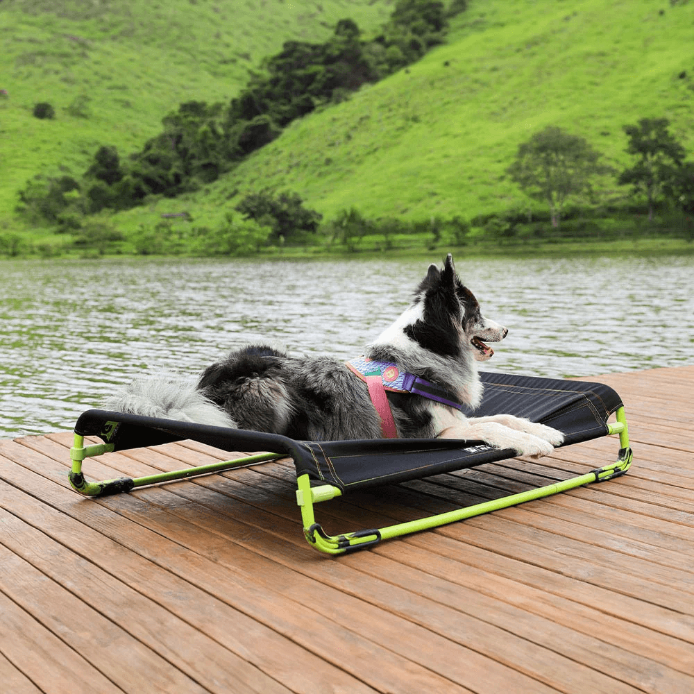 Air Bed Black 6 Air Bed Black