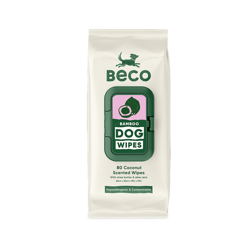 Compostable Wipes 1 Compostable Wipes
