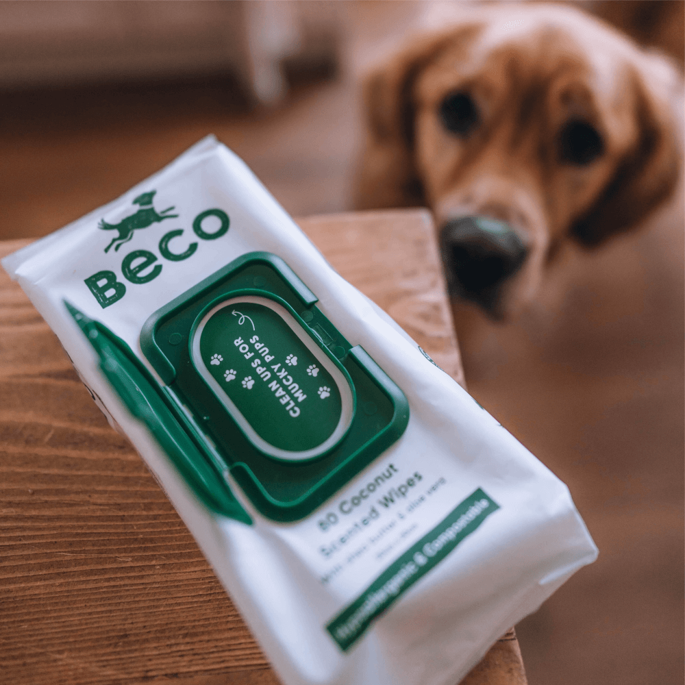 Compostable Wipes 3 Compostable Wipes