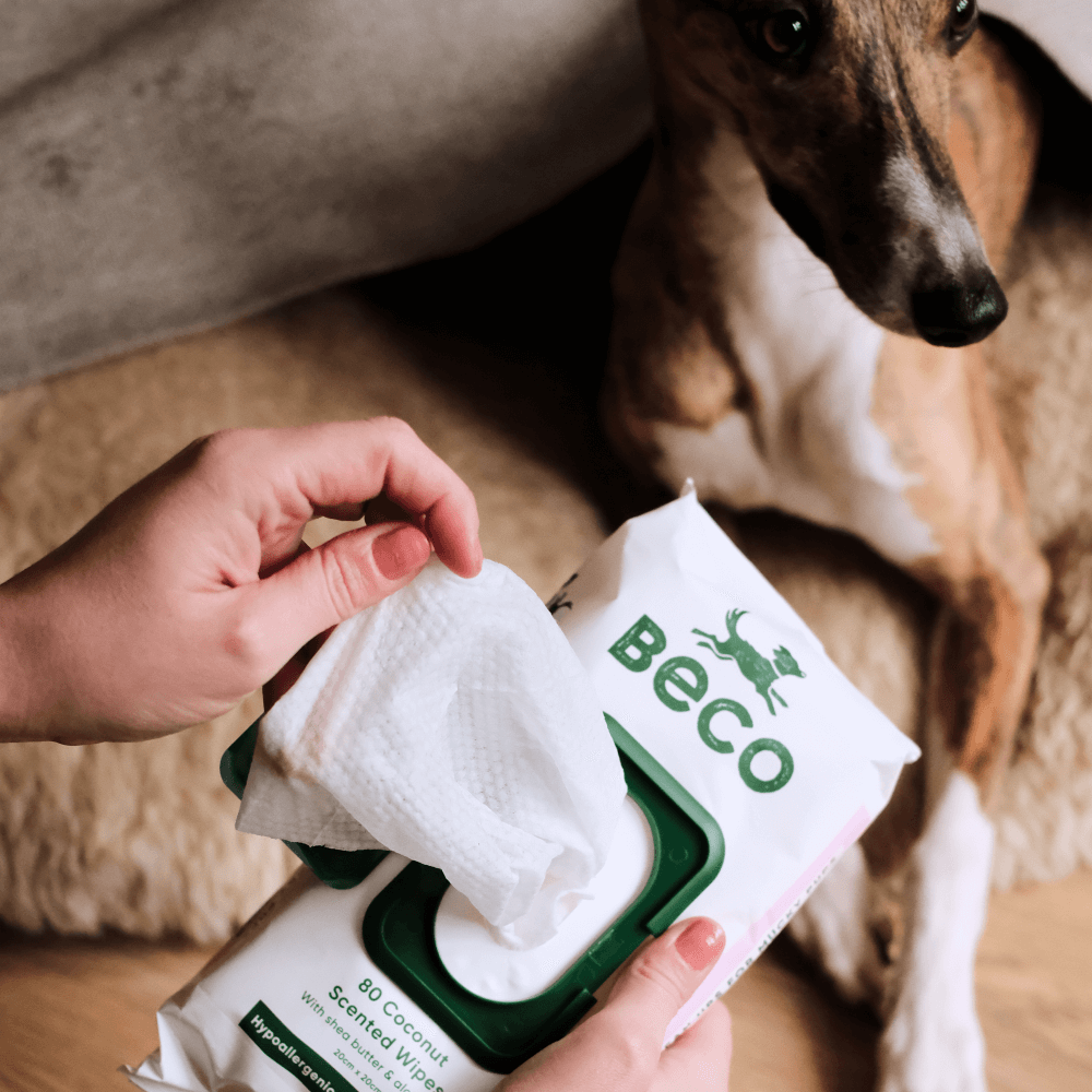 Compostable Wipes 4 Compostable Wipes