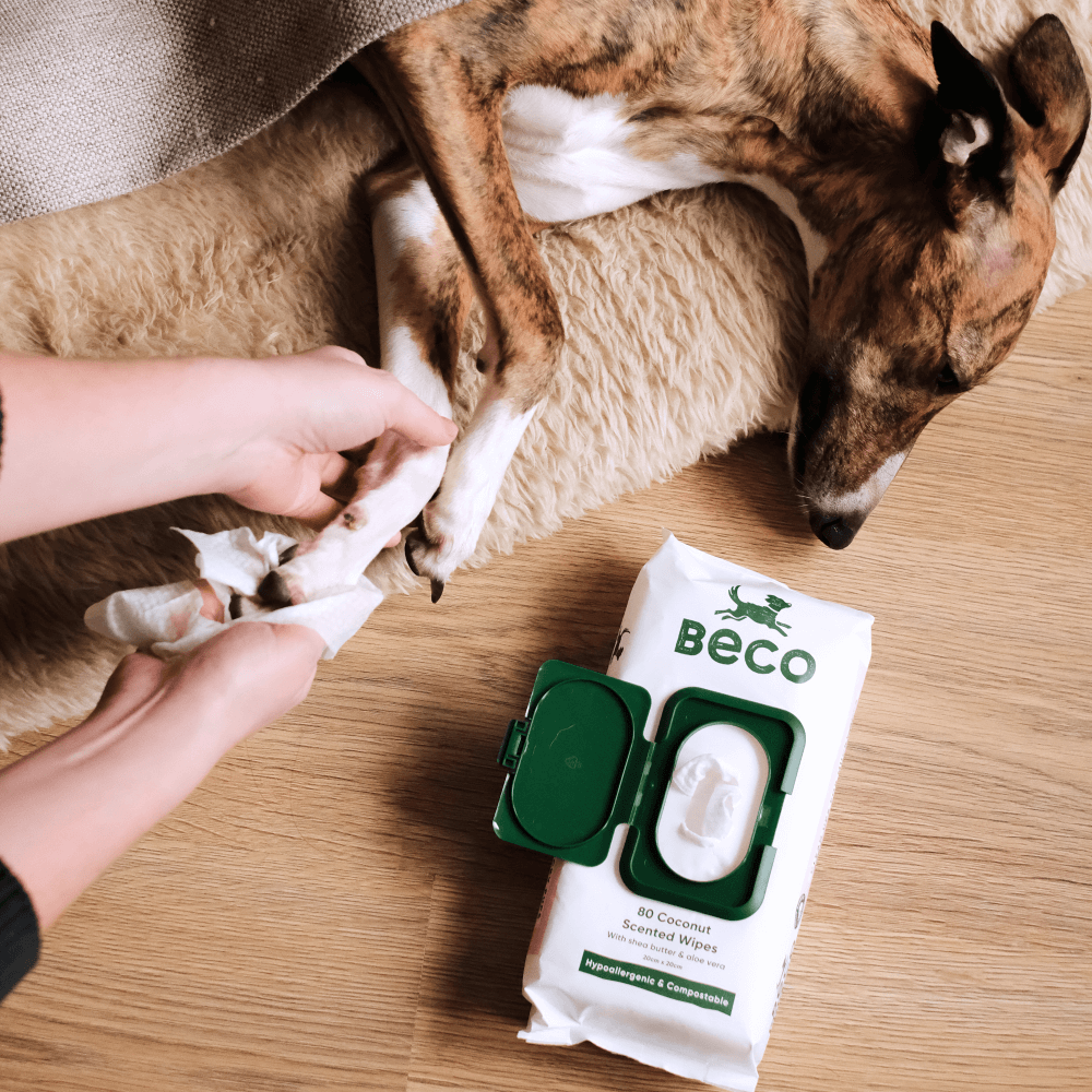 Compostable Wipes 5 Compostable Wipes