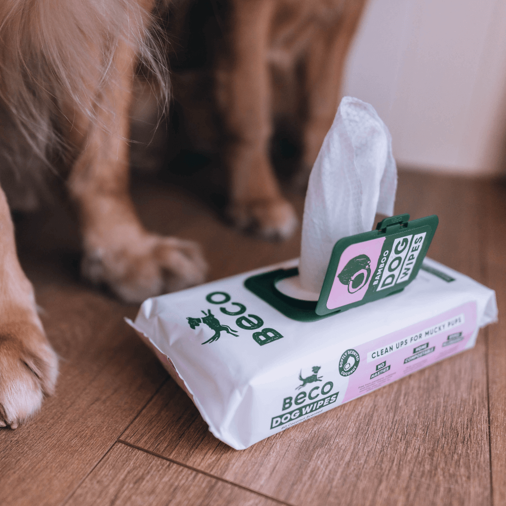 Compostable Wipes 6 Compostable Wipes