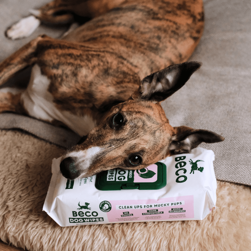 Compostable Wipes 7 Compostable Wipes