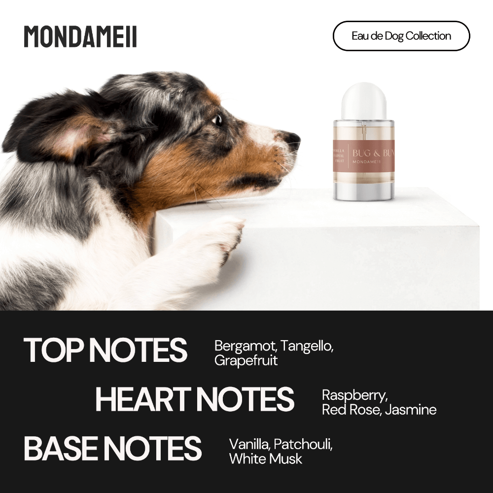 Fragrance Eau De Dog Deodorising Spray Mondame11 4 Fragrance Eau De Dog Deodorising Spray Mondame11