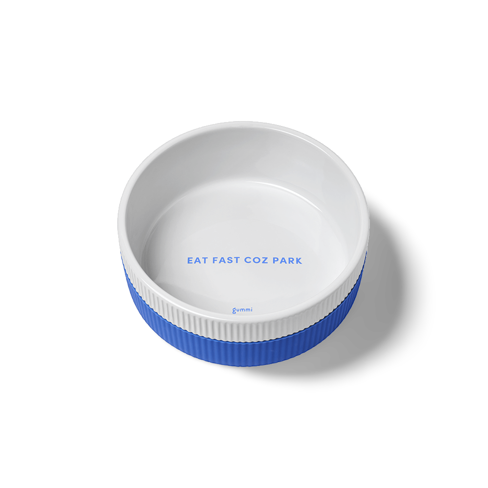 Ceramic Dog Bowl Blue East Fast Coz Park 1 Ceramic Dog Bowl Blue East Fast Coz Park