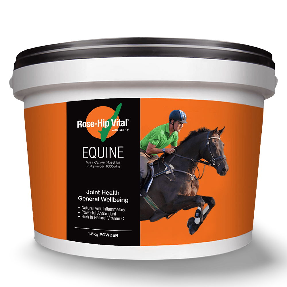 Equine
