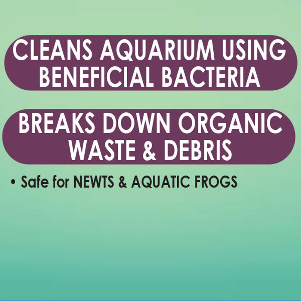 Turtle Sludge Destroyer Aquarium Cleaner 3 Turtle Sludge Destroyer Aquarium Cleaner