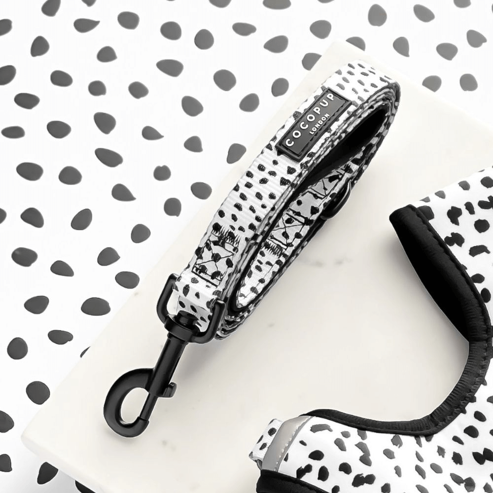 Dog Lead Monochrome Spots 1 Dog Lead Monochrome Spots