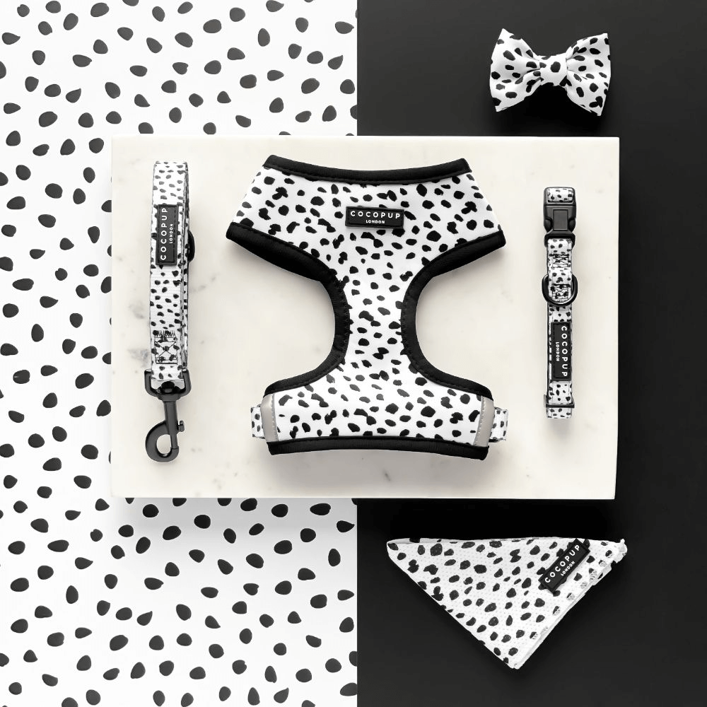 Dog Lead Monochrome Spots 2 Dog Lead Monochrome Spots