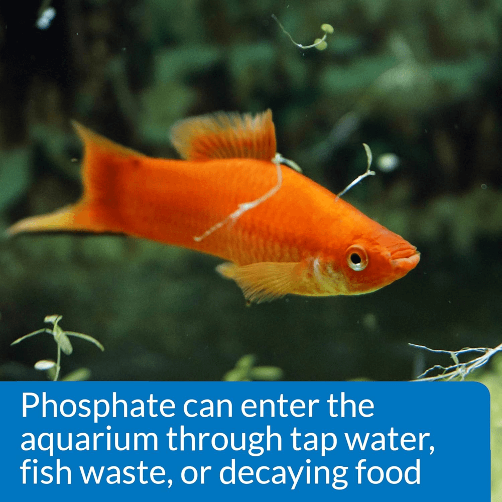 Phosphate Test Kit For Marine And Fresh Water Aquariums 4 Phosphate Test Kit For Marine And Fresh Water Aquariums