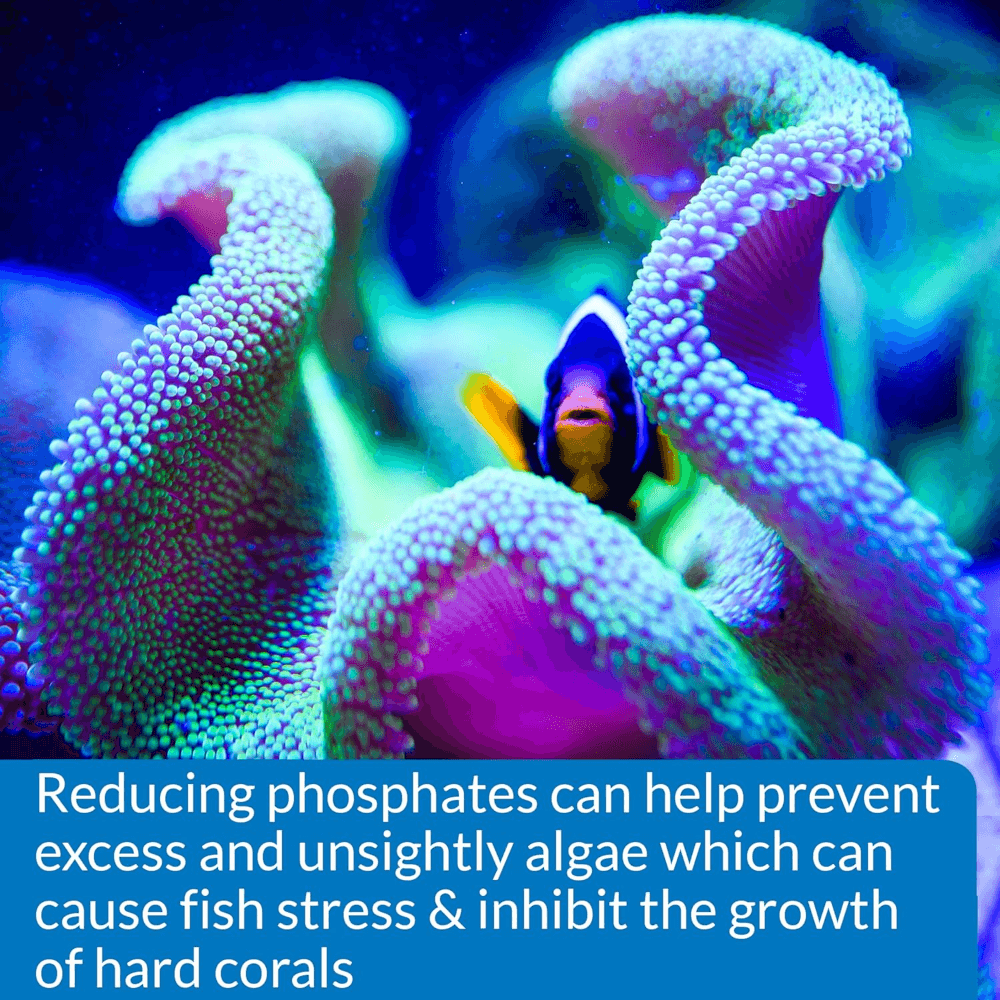 Phosphate Test Kit For Marine And Fresh Water Aquariums 5 Phosphate Test Kit For Marine And Fresh Water Aquariums
