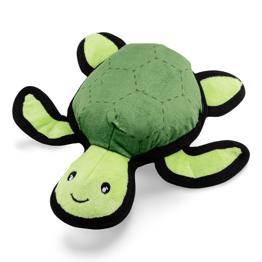 Rough And Tough Turtle 1 Rough And Tough Turtle