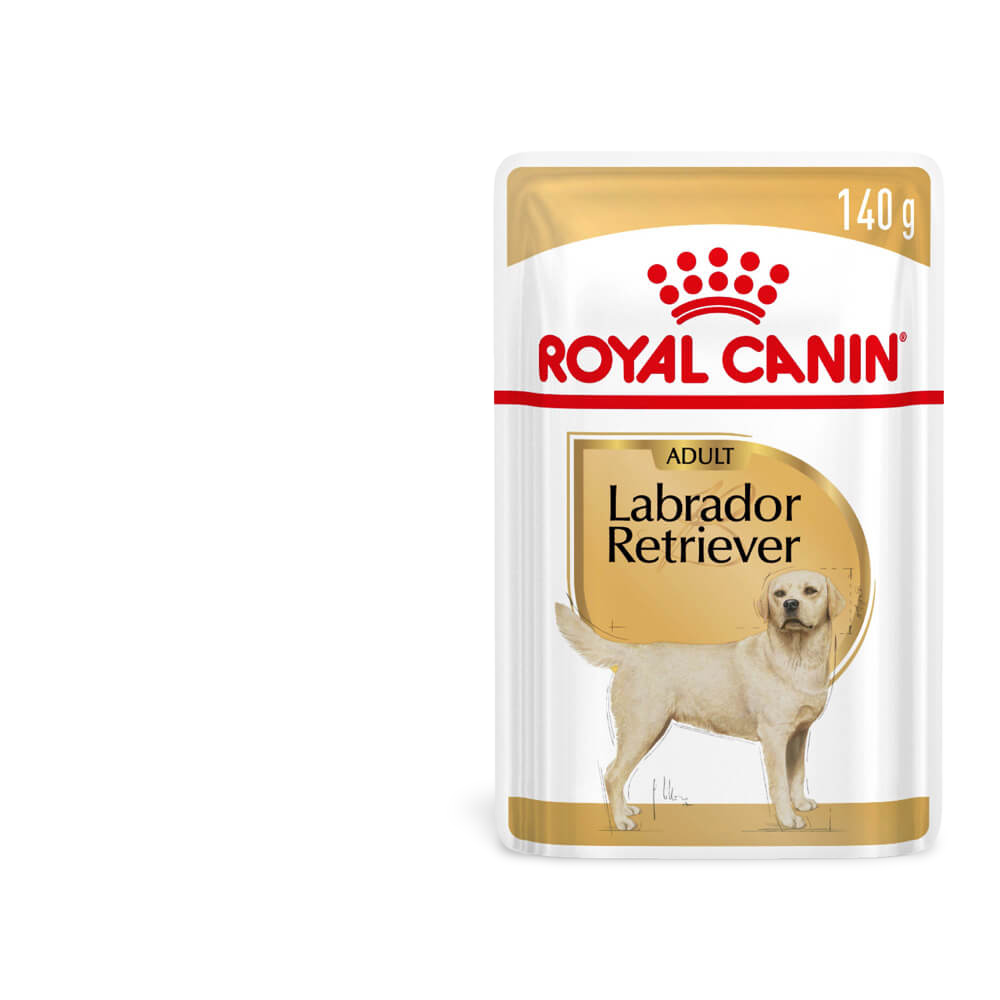 Labrador Retriever Adult Gravy Wet Dog Food Pouches 1 Labrador Retriever Adult Gravy Wet Dog Food Pouches