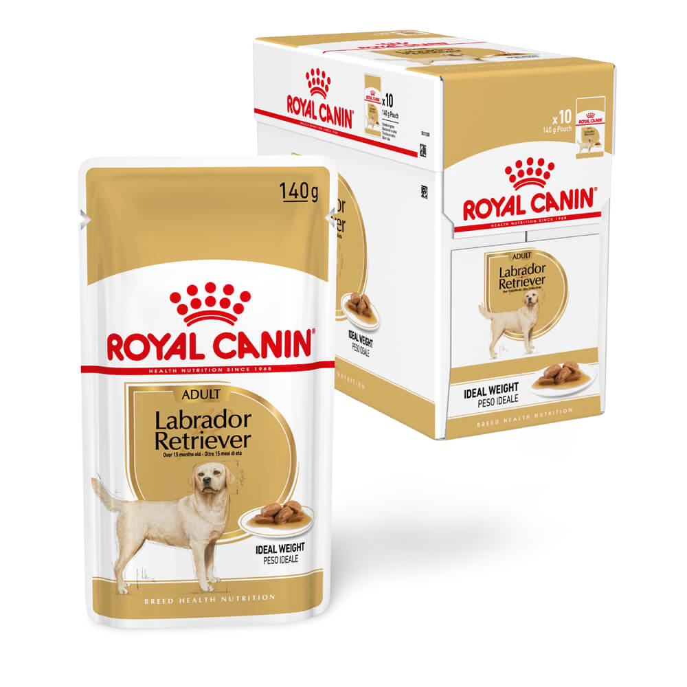 Labrador Retriever Adult Gravy Wet Dog Food Pouches 2 Labrador Retriever Adult Gravy Wet Dog Food Pouches