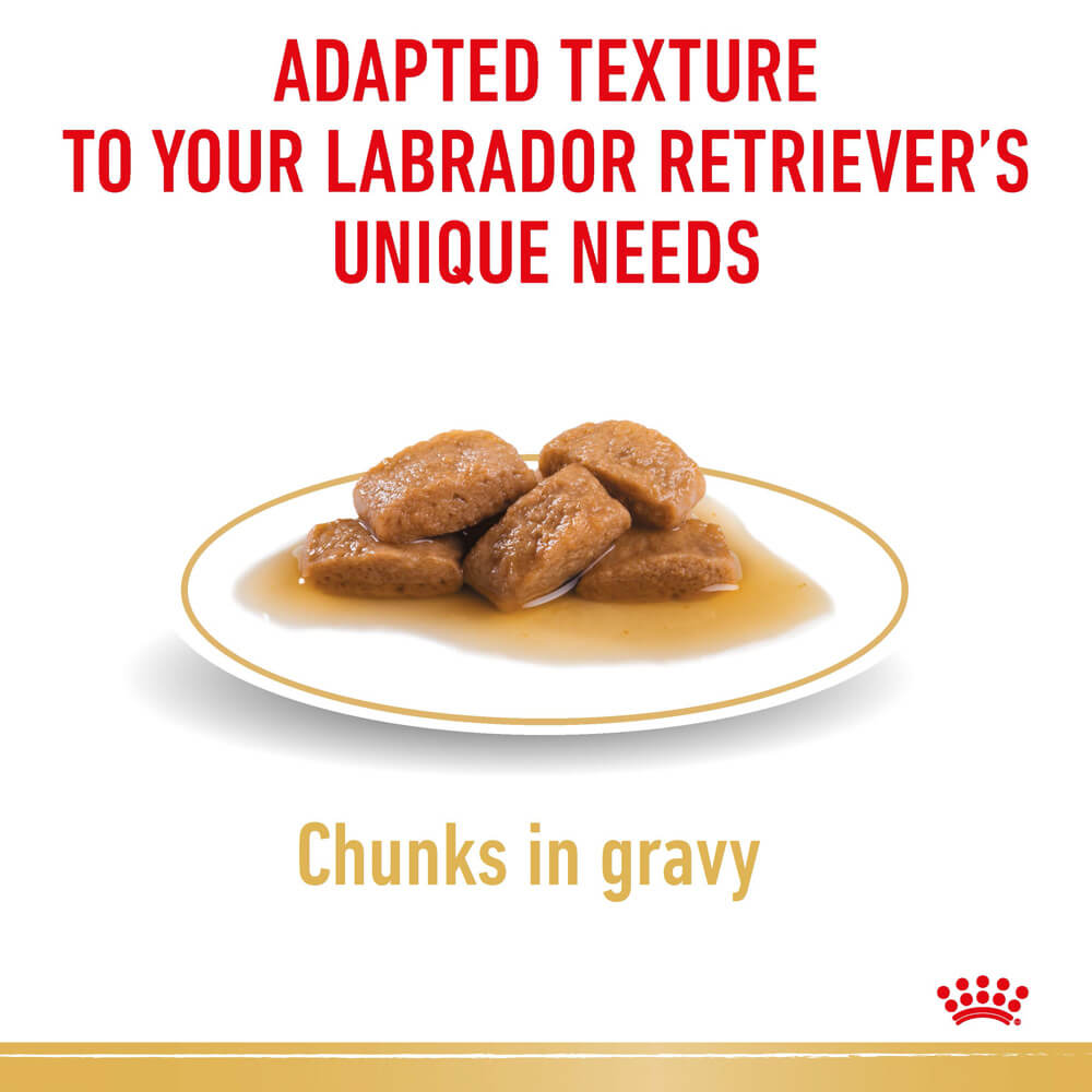 Labrador Retriever Adult Gravy Wet Dog Food Pouches 3 Labrador Retriever Adult Gravy Wet Dog Food Pouches