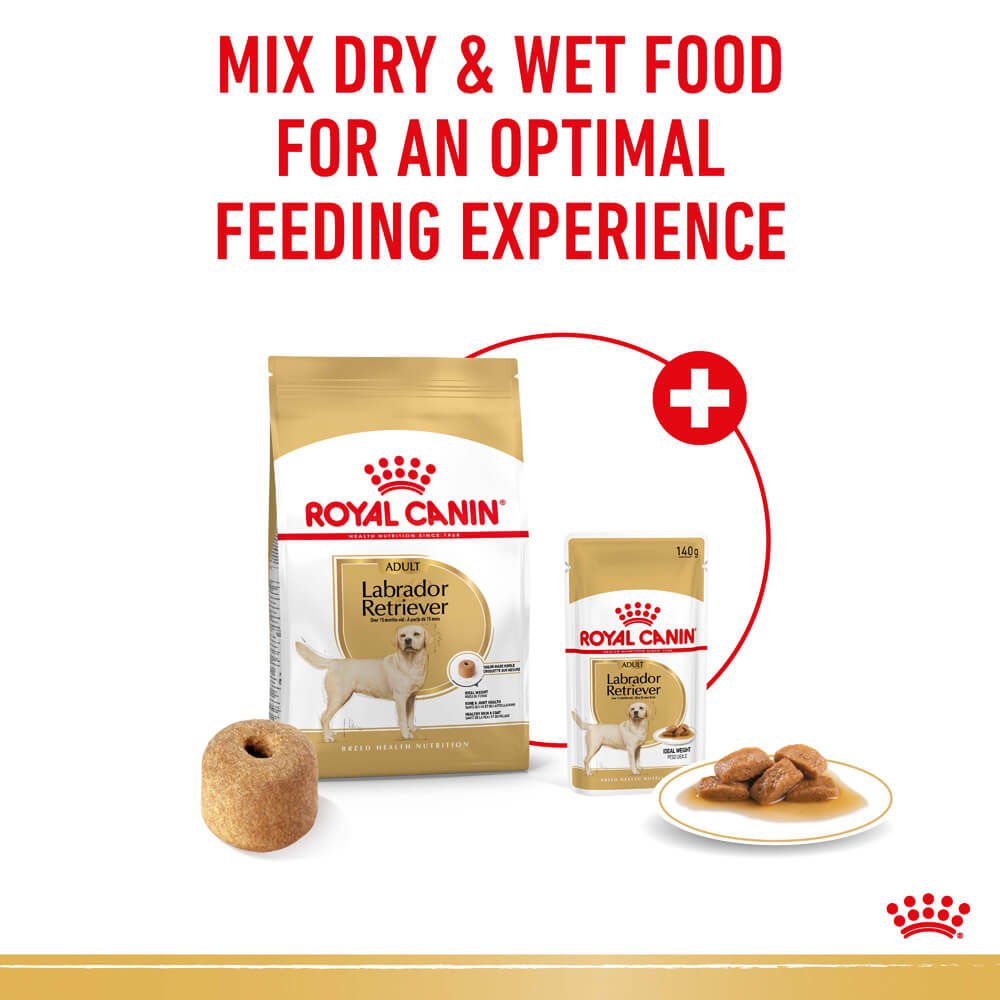 Labrador Retriever Adult Gravy Wet Dog Food Pouches 7 Labrador Retriever Adult Gravy Wet Dog Food Pouches