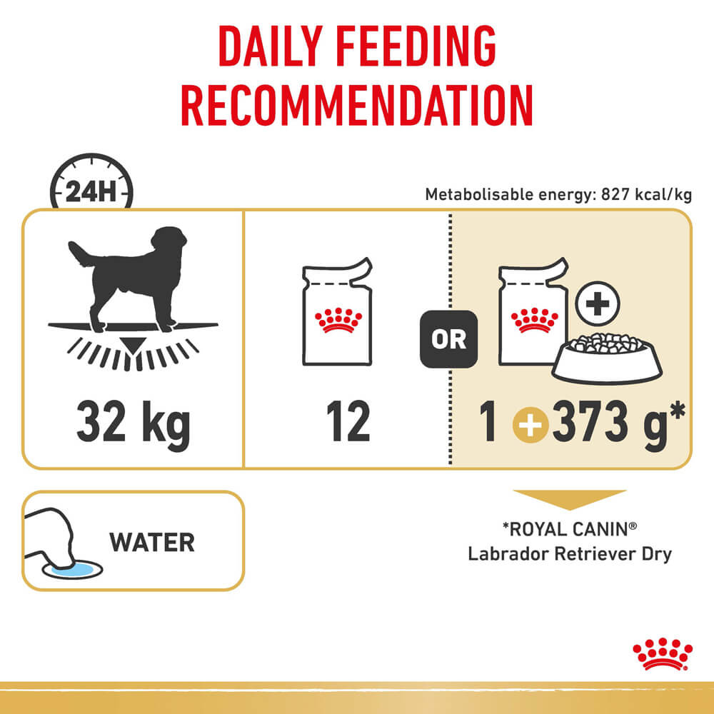 Labrador Retriever Adult Gravy Wet Dog Food Pouches 9 Labrador Retriever Adult Gravy Wet Dog Food Pouches