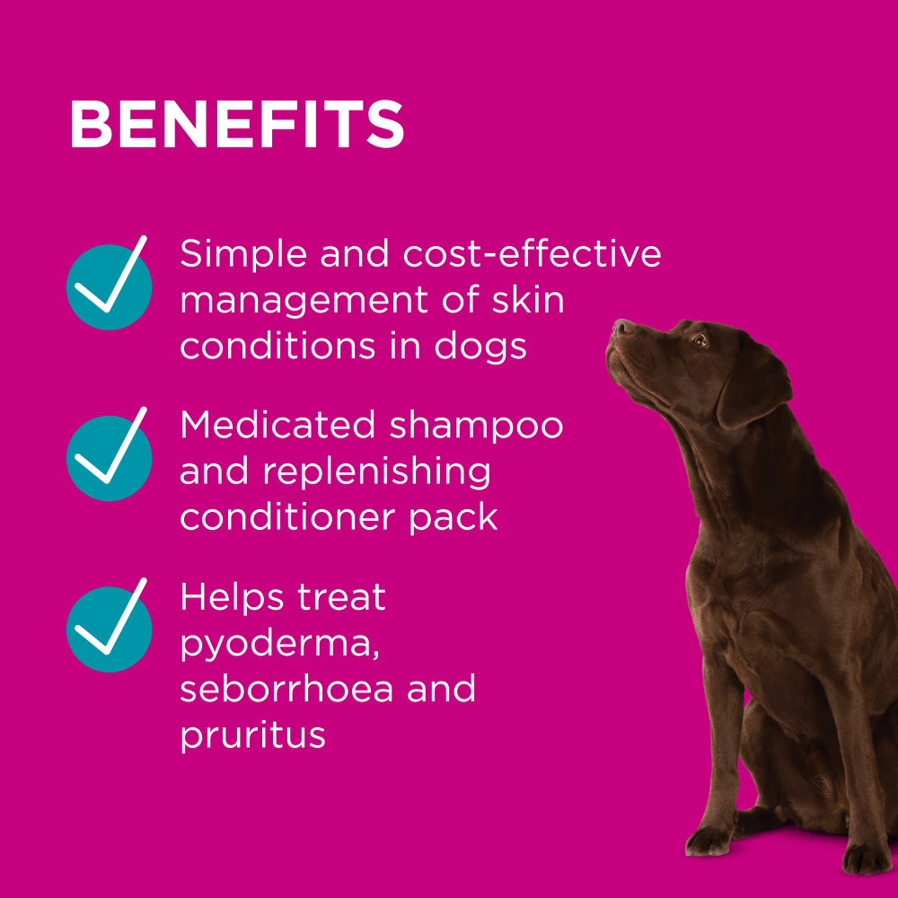 Infected Skin Shampoo And Conditioner Duo for Dogs 3 Infected Skin Shampoo And Conditioner Duo for Dogs