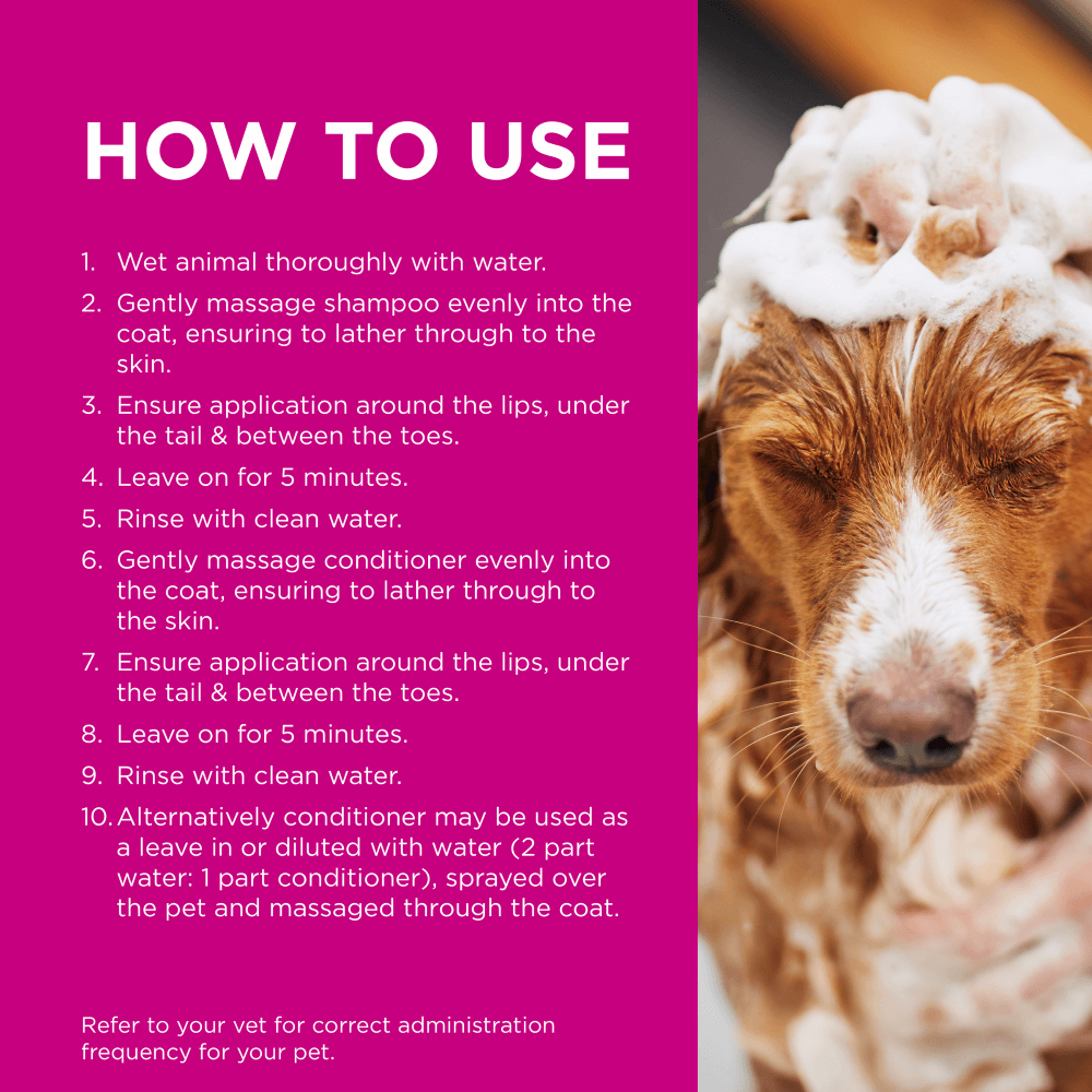 Infected Skin Shampoo And Conditioner Duo for Dogs 4 Infected Skin Shampoo And Conditioner Duo for Dogs