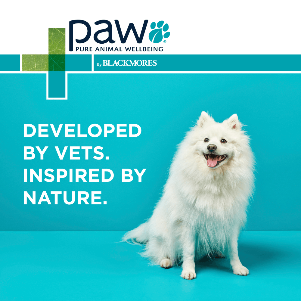 Infected Skin Shampoo And Conditioner Duo for Dogs 6 Infected Skin Shampoo And Conditioner Duo for Dogs