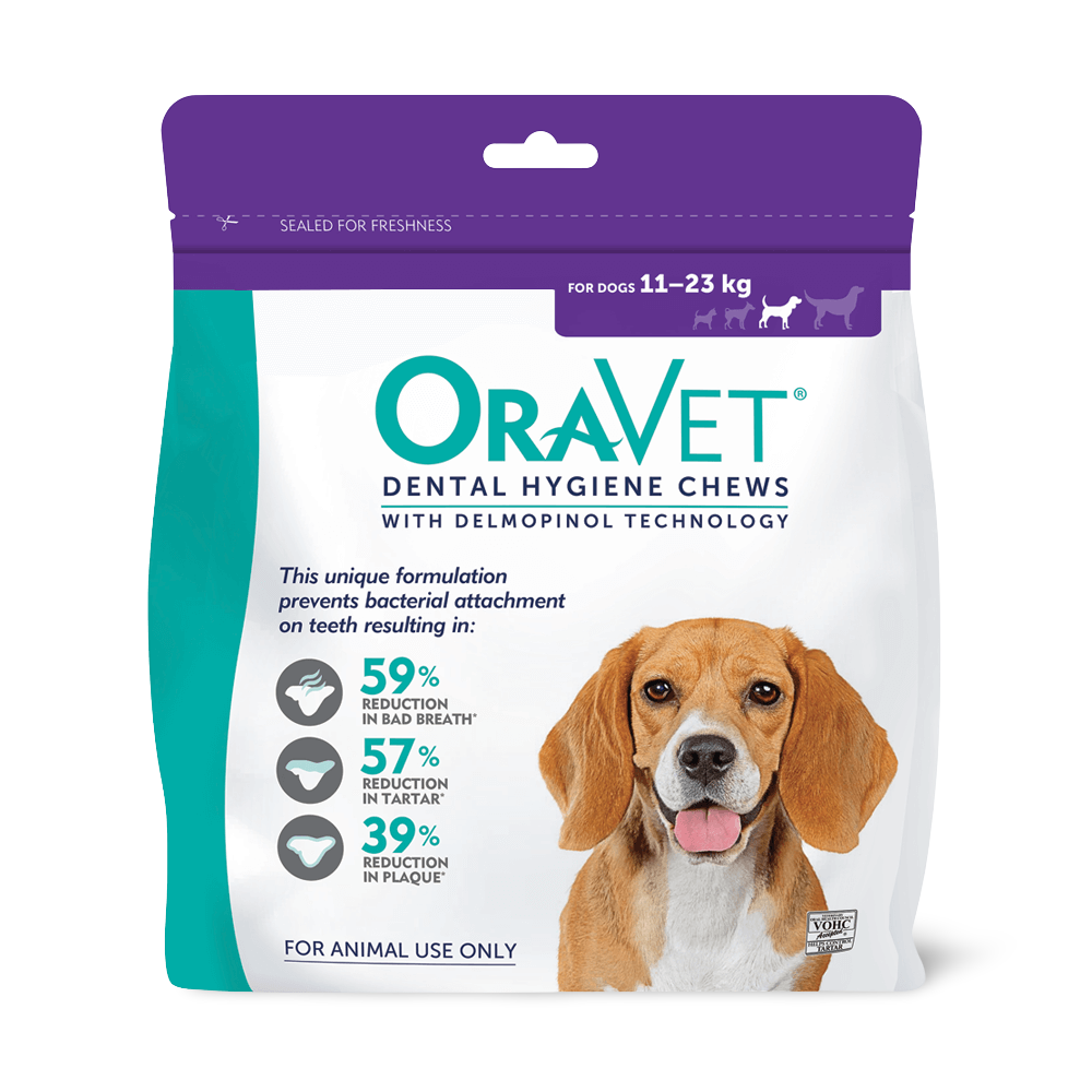 Dental Hygiene Chews Medium
