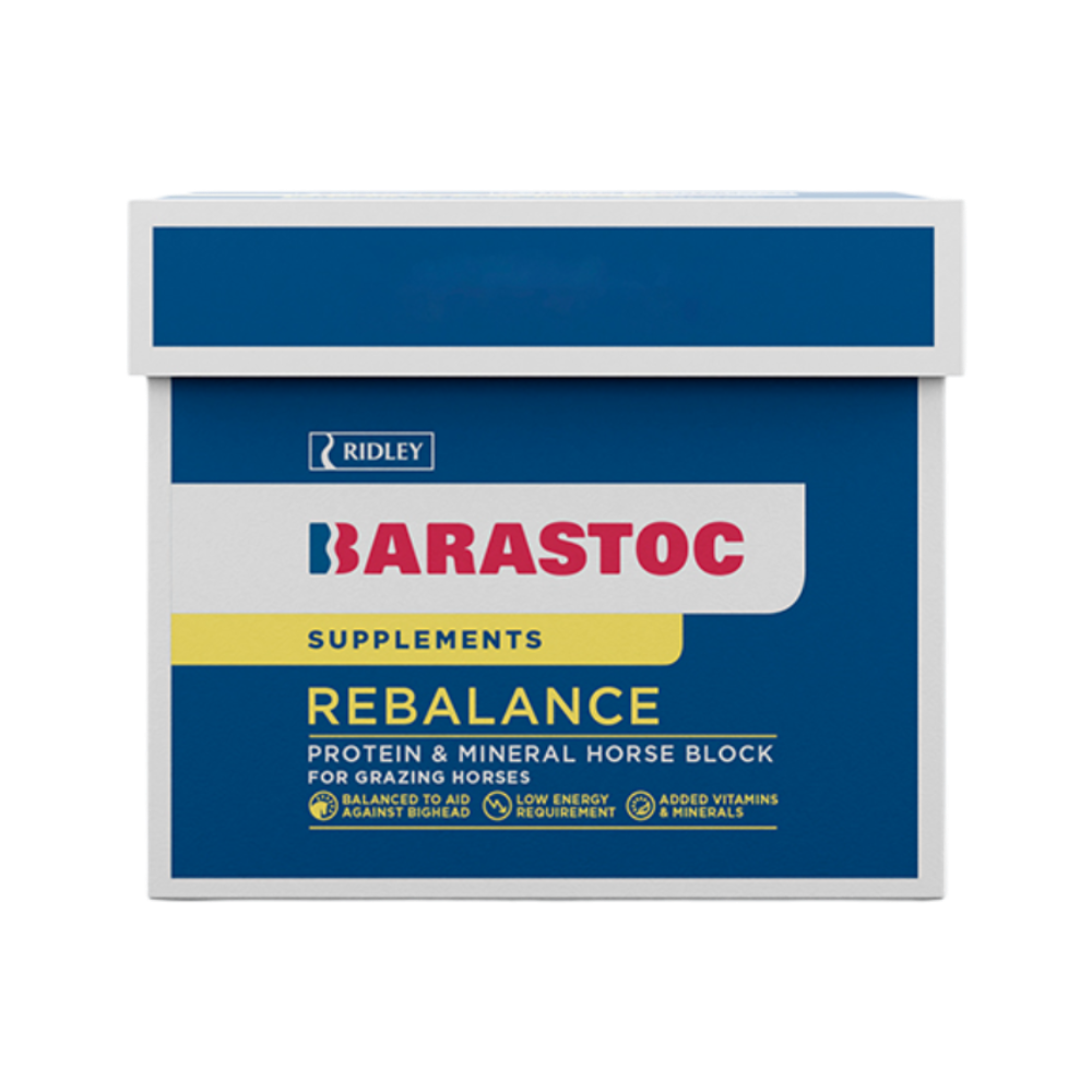 Rebalance Protein and Mineral Horse Block for Grazing Horses