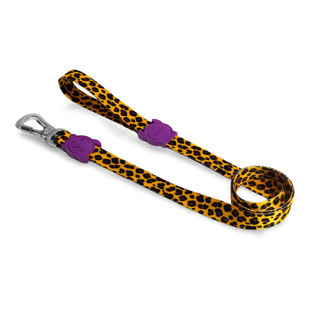Leash Honey