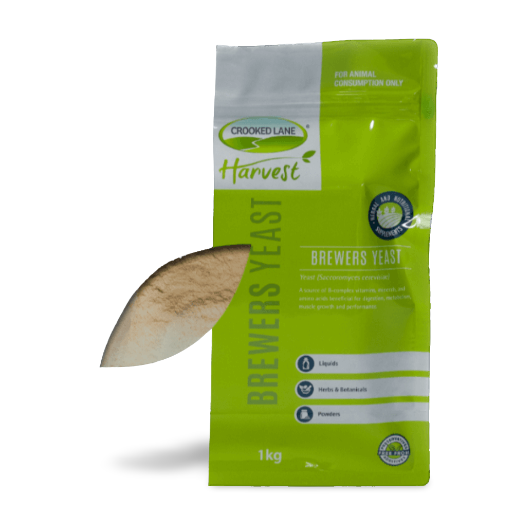 Brewers Yeast