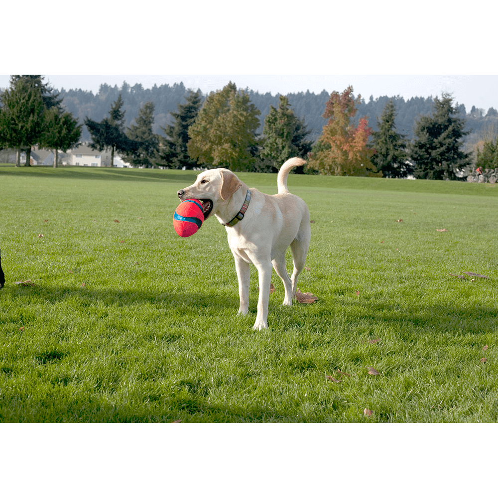 Fumble Fetch 2 Fumble Fetch