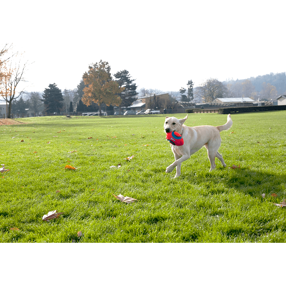 Fumble Fetch 3 Fumble Fetch