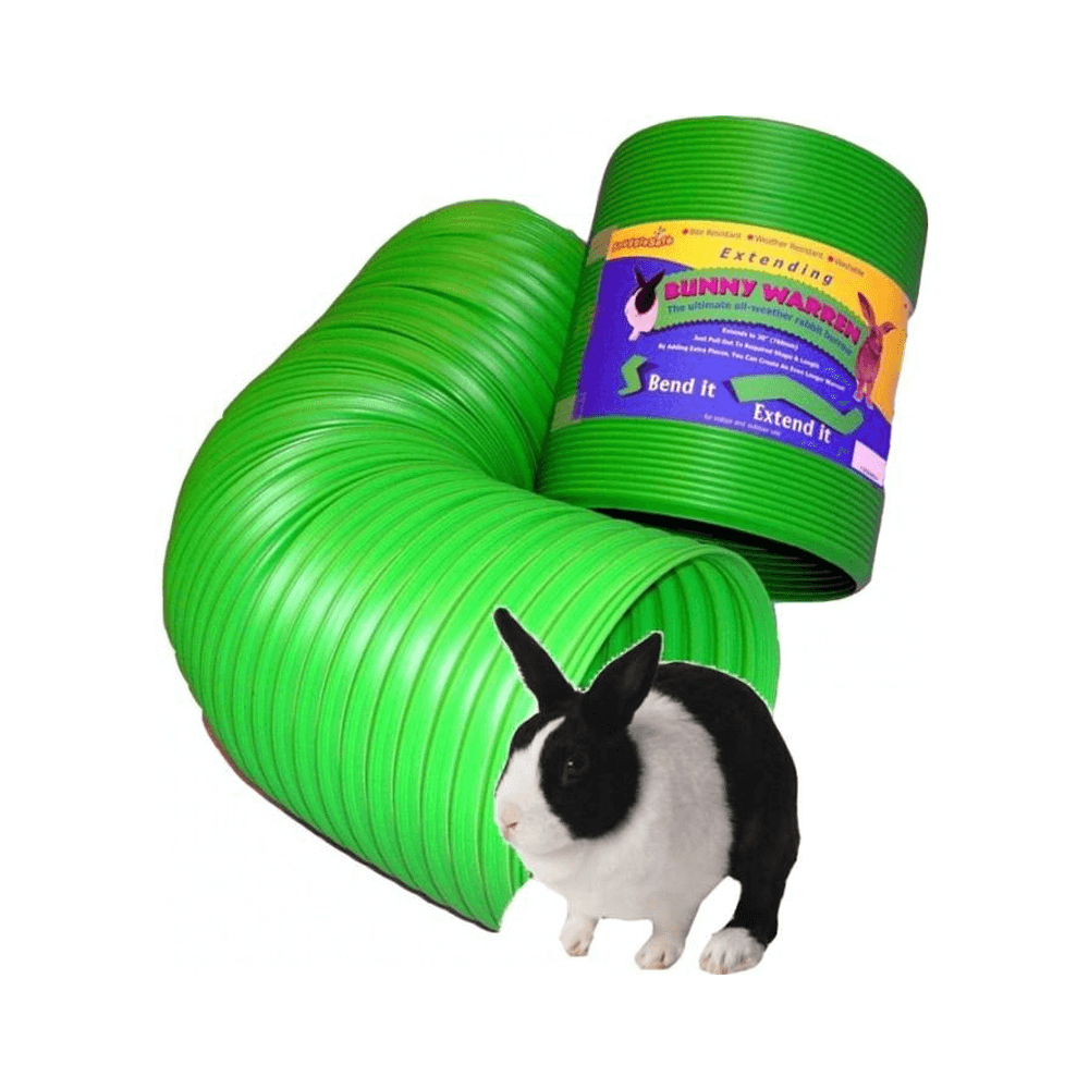 Bunny Warren