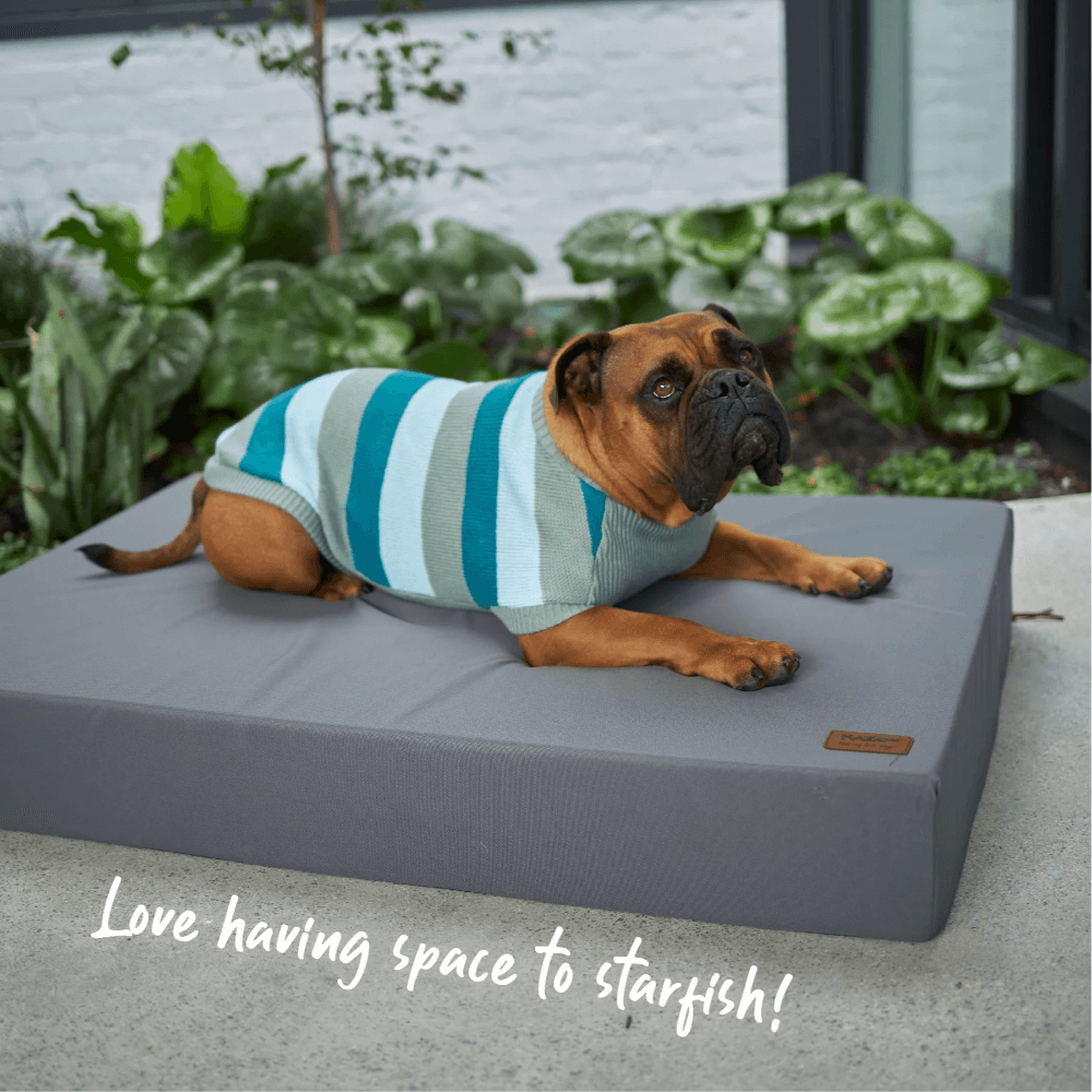 Slumber Orthopaedic Dog Bed in Slate Grey 4 Slumber Orthopaedic Dog Bed in Slate Grey