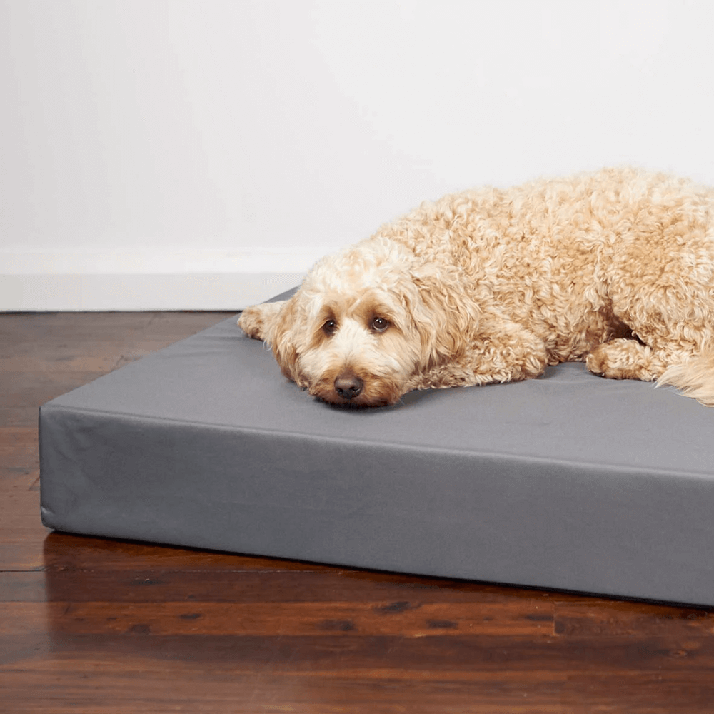 Slumber Orthopaedic Dog Bed in Slate Grey 7 Slumber Orthopaedic Dog Bed in Slate Grey