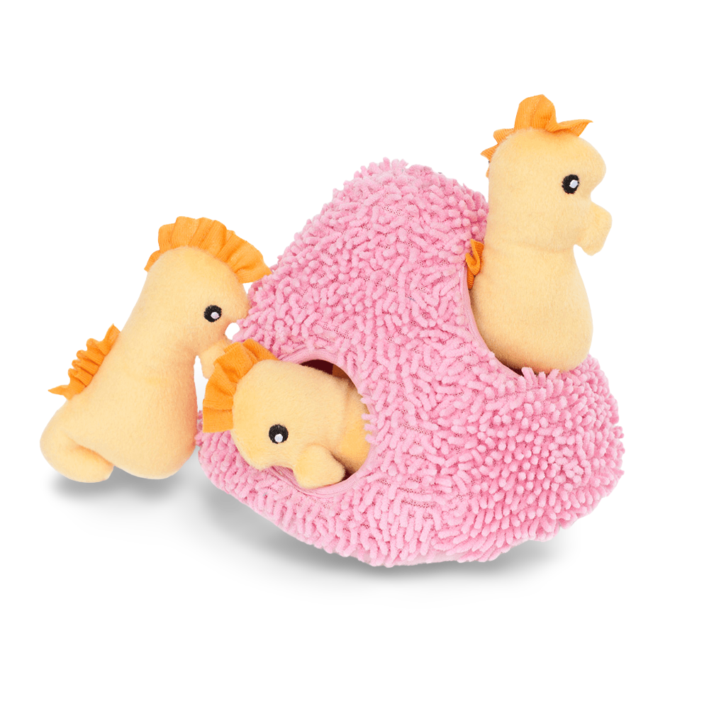 Burrow Seahorse N Coral Interactive Soft Dog Toy 1 Burrow Seahorse N Coral Interactive Soft Dog Toy