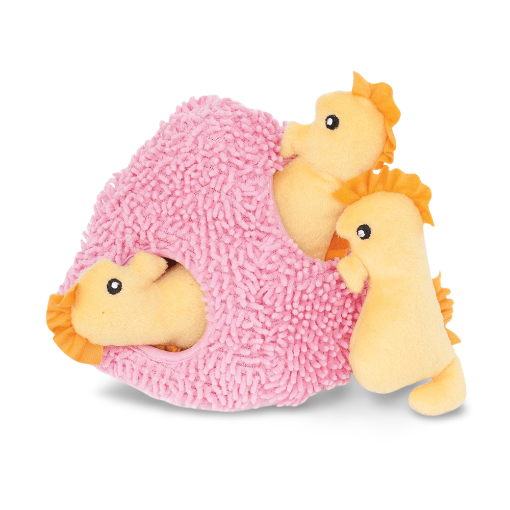 Burrow Seahorse N Coral Interactive Soft Dog Toy 2 Burrow Seahorse N Coral Interactive Soft Dog Toy