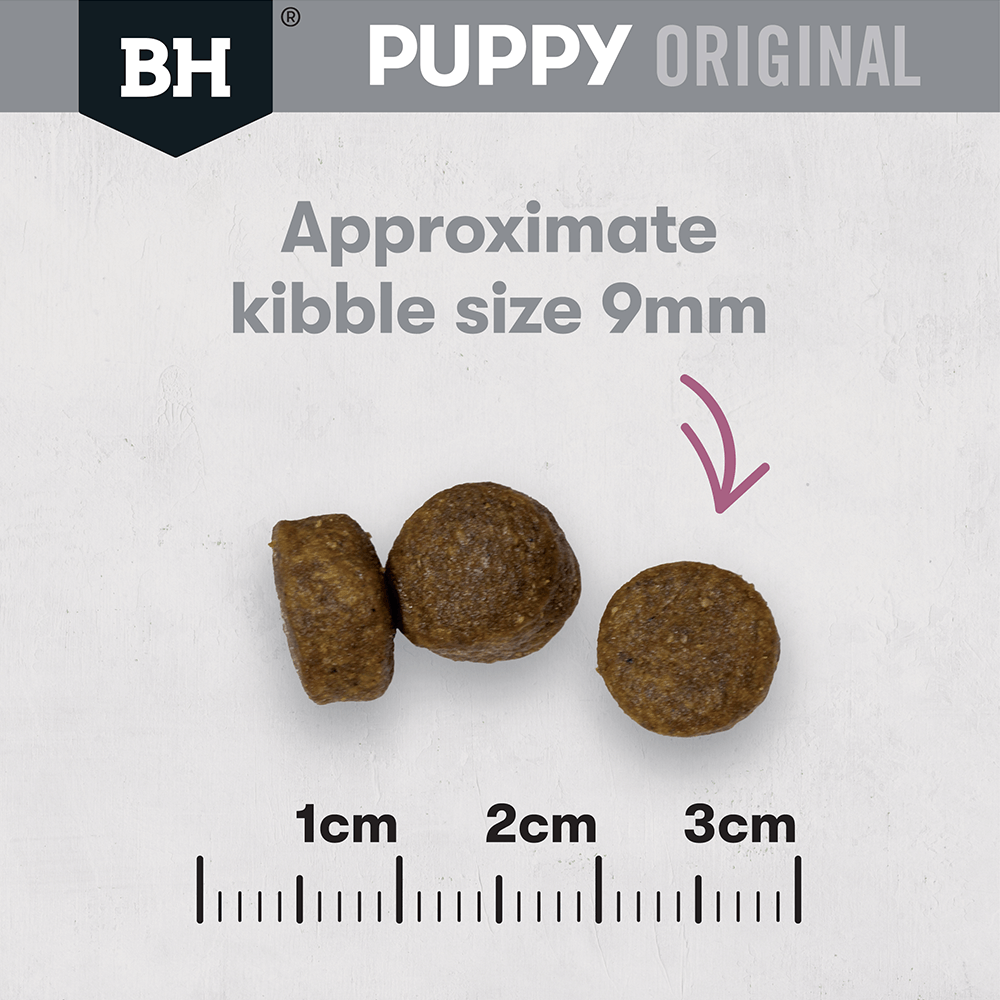 Dry Dog Food Puppy Medium Breed Original Lamb And Rice 3 Dry Dog Food Puppy Medium Breed Original Lamb And Rice