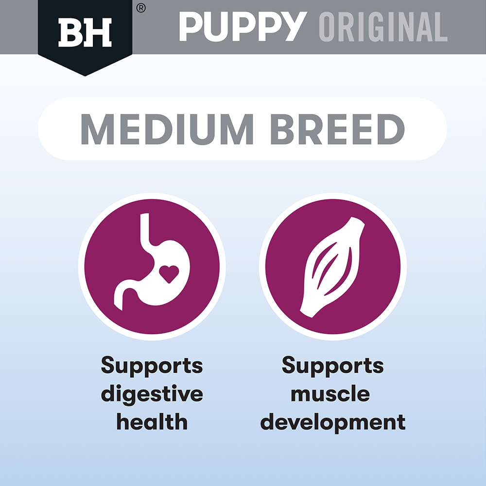 Dry Dog Food Puppy Medium Breed Original Lamb And Rice 4 Dry Dog Food Puppy Medium Breed Original Lamb And Rice