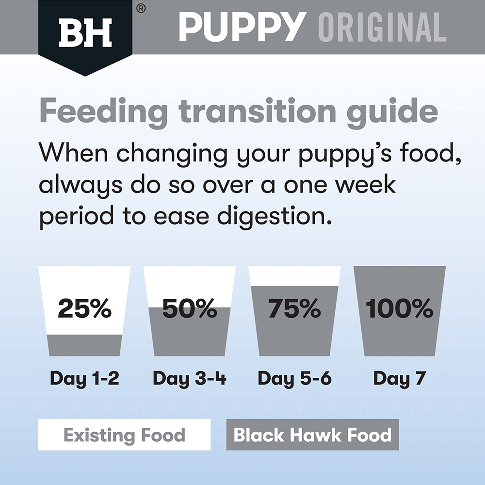 Dry Dog Food Puppy Medium Breed Original Lamb And Rice 6 Dry Dog Food Puppy Medium Breed Original Lamb And Rice
