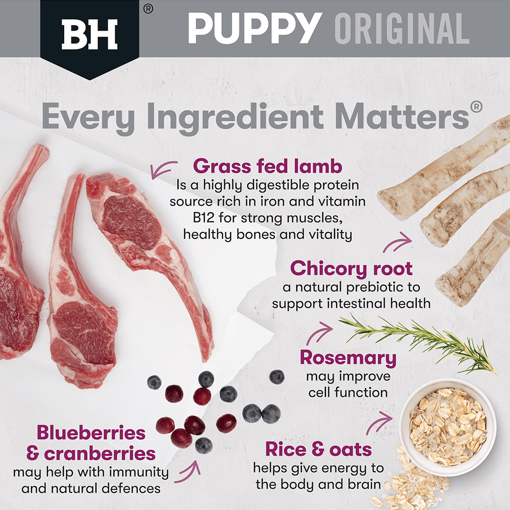 Dry Dog Food Puppy Medium Breed Original Lamb And Rice 8 Dry Dog Food Puppy Medium Breed Original Lamb And Rice
