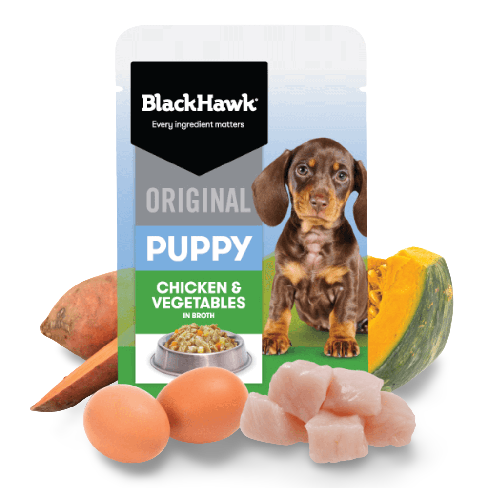 Original Puppy Chicken And Vegetables Wet Dog Food Pouch 2 Original Puppy Chicken And Vegetables Wet Dog Food Pouch