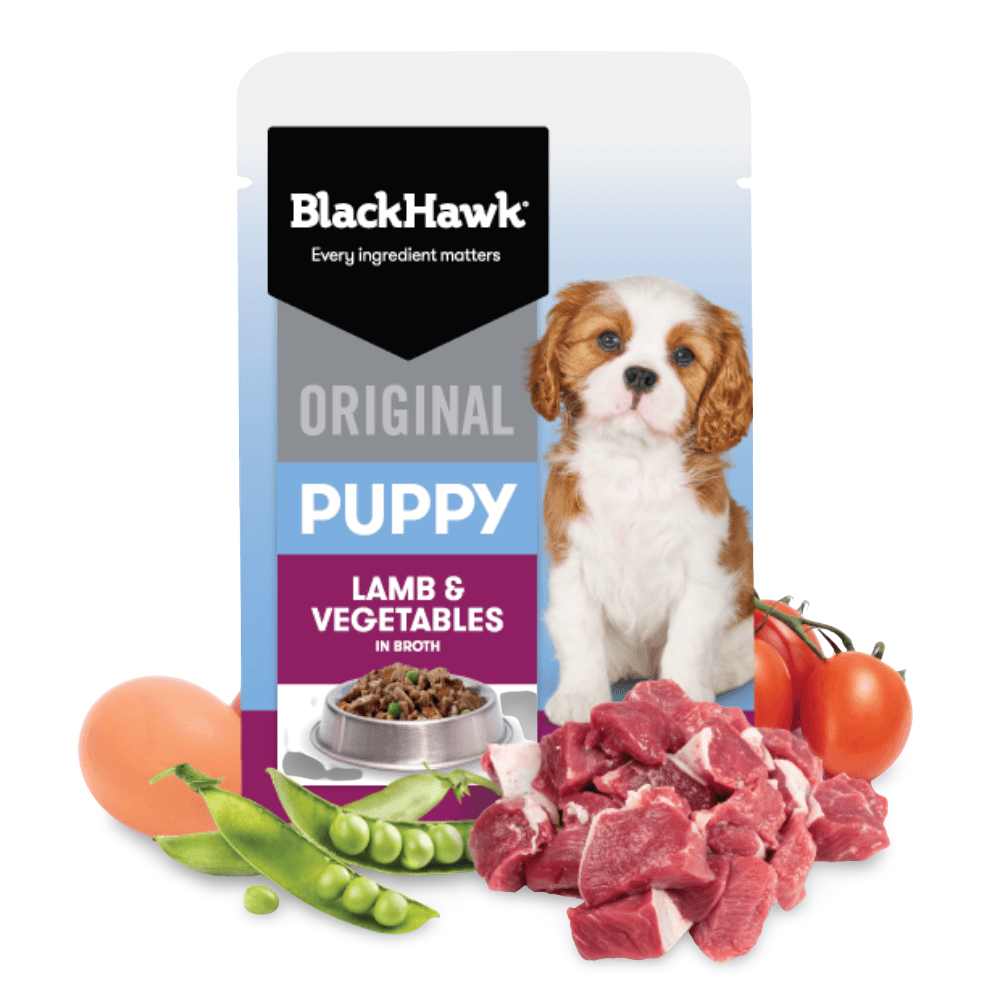 Original Puppy Lamb And Vegetables Wet Dog Food Pouch 1 Original Puppy Lamb And Vegetables Wet Dog Food Pouch