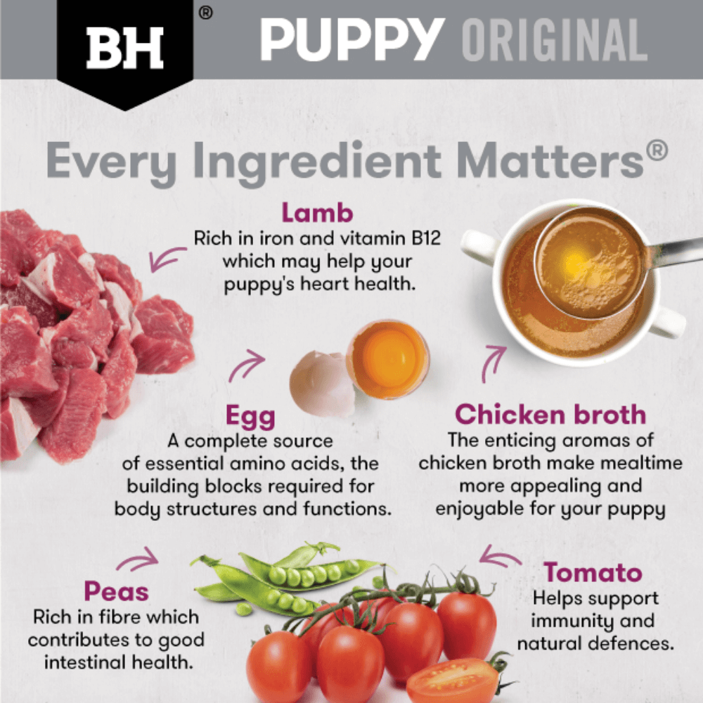 Original Puppy Lamb And Vegetables Wet Dog Food Pouch 3 Original Puppy Lamb And Vegetables Wet Dog Food Pouch