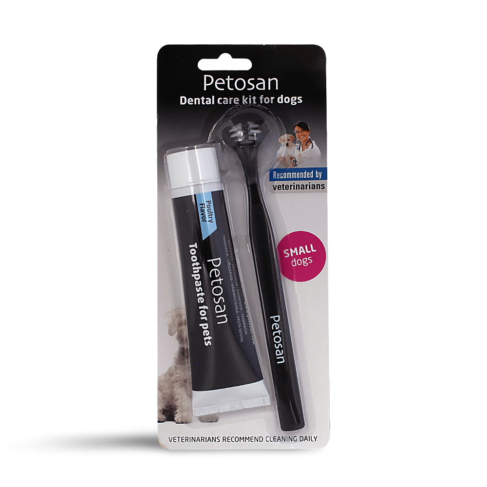 Dental Kit For Small Dogs