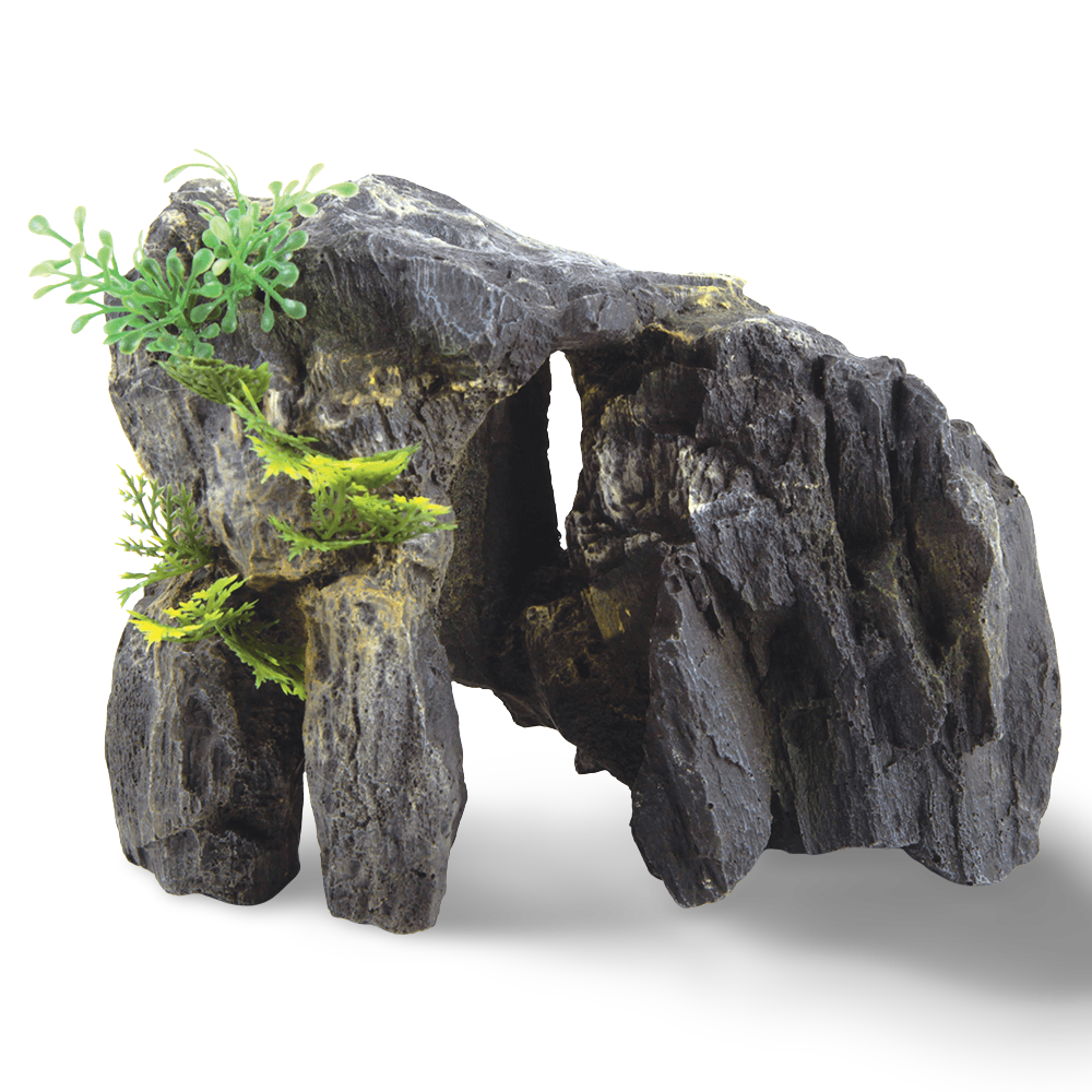Granite Rock With Plants