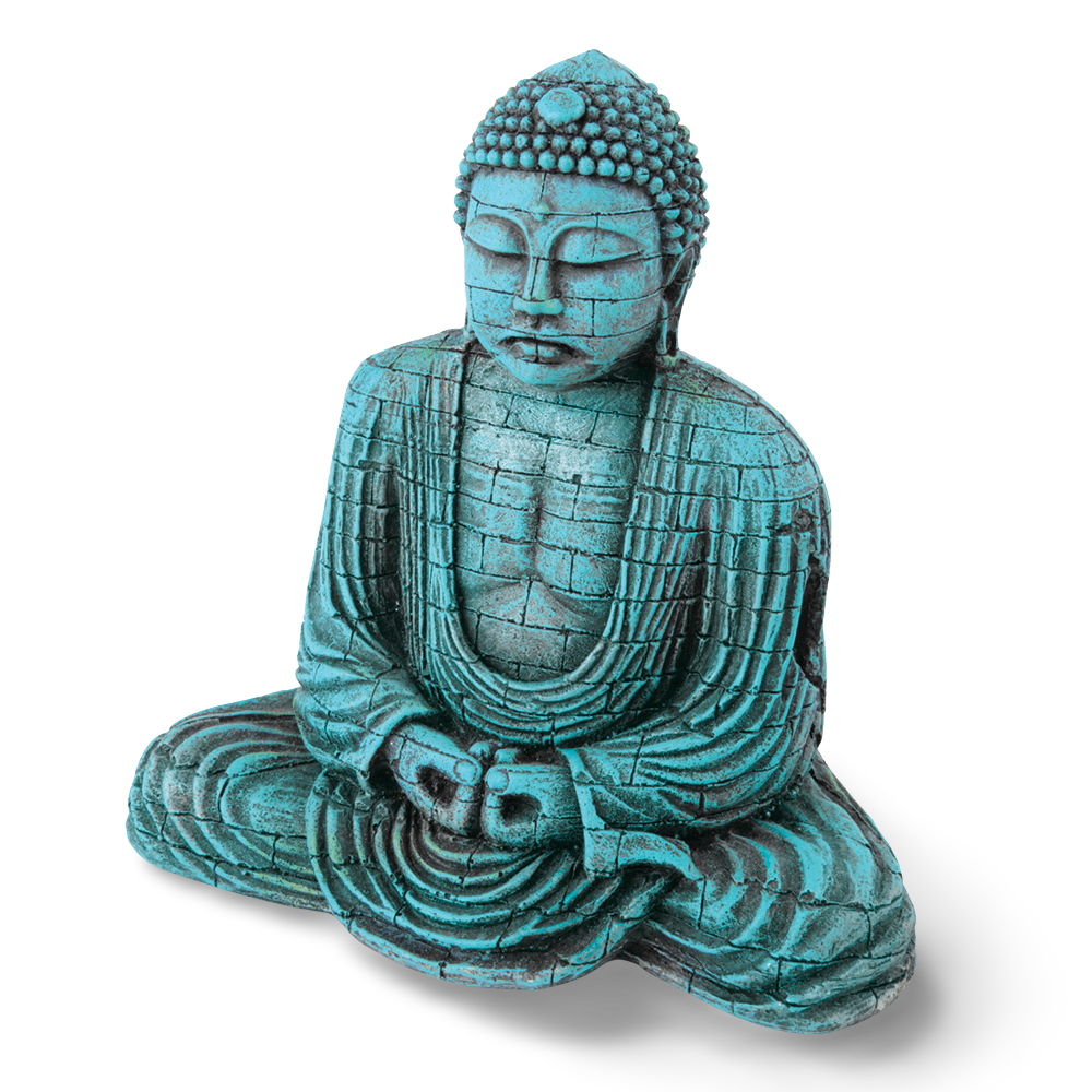 Buddha With Air
