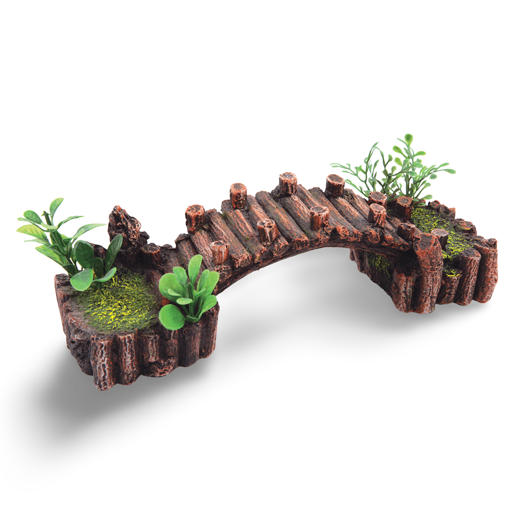 Log Bridge With Plants