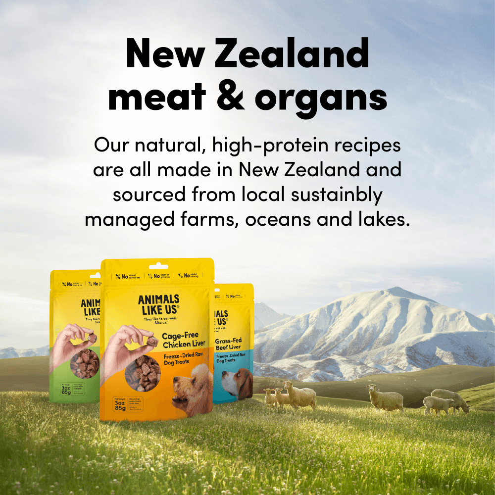 Grass Fed Lamb Tripe Freeze Dried Raw Dog Treats 3 Grass Fed Lamb Tripe Freeze Dried Raw Dog Treats